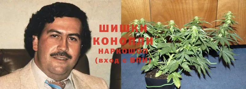 МАРИХУАНА Ganja  кракен зеркало  нарко площадка какой сайт  Богородск 